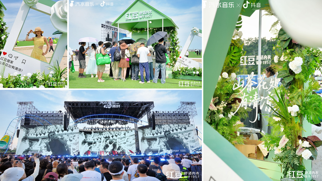 山茶花处有清凉12