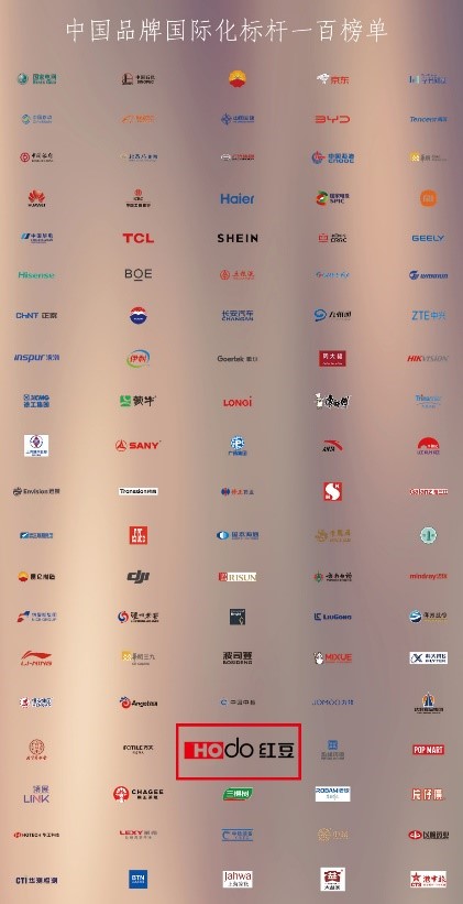 中国品牌国际化标杆3